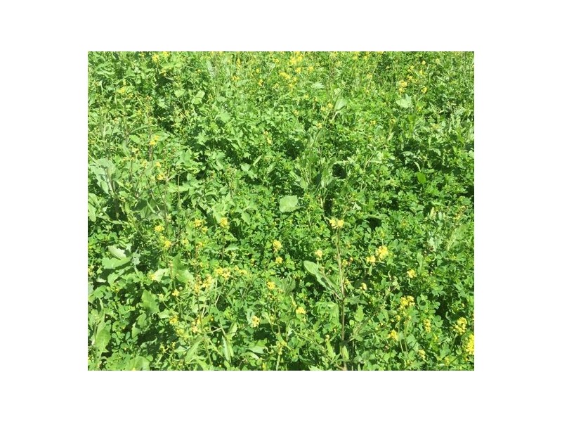 Errington Come By Chance Via, Walgett NSW 2832