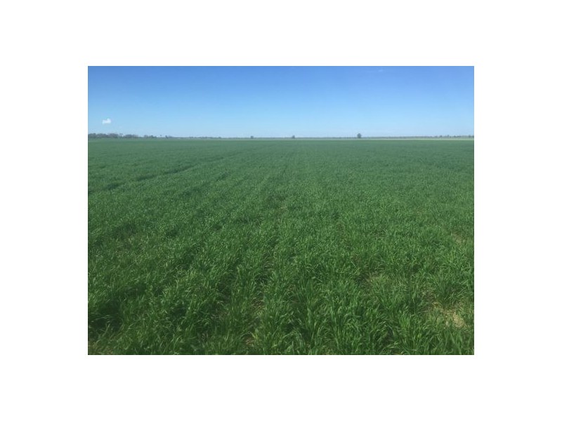 Errington Come By Chance Via, Walgett NSW 2832