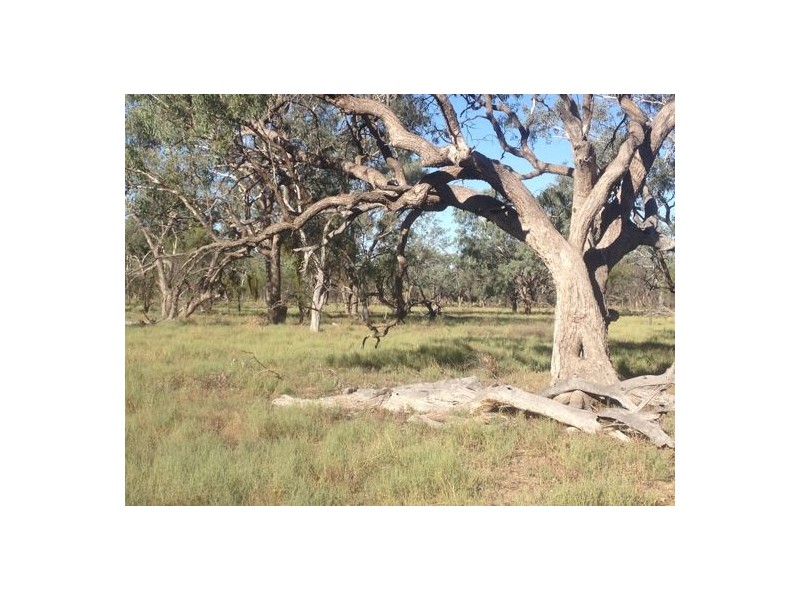 Errington Come By Chance Via, Walgett NSW 2832