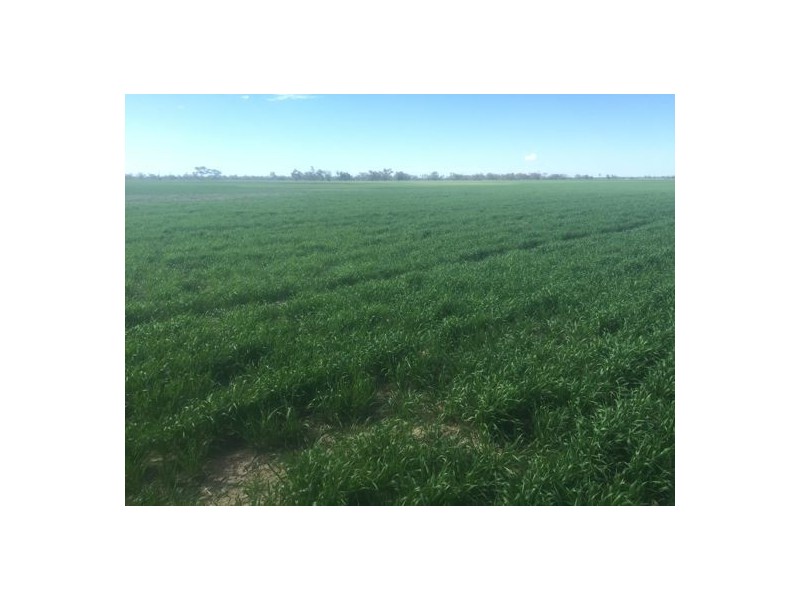 Errington Come By Chance Via, Walgett NSW 2832