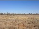 Wellwood East Dunumbral Rd, Walgett NSW 2832