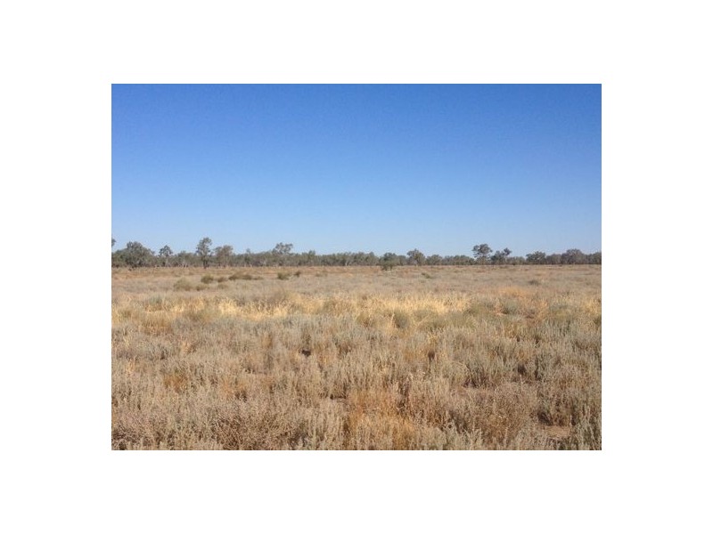 Wellwood East Dunumbral Rd, Walgett NSW 2832