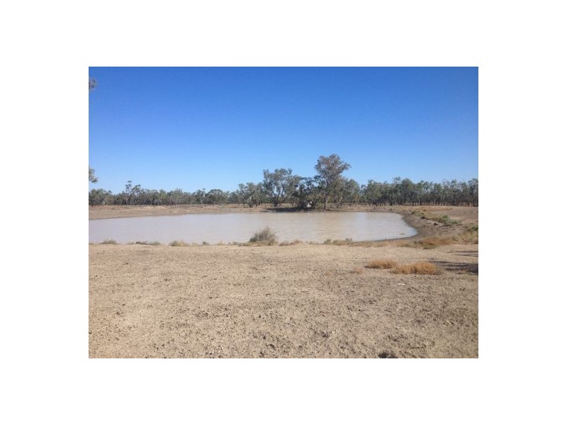 Wellwood East Dunumbral Rd, Walgett NSW 2832