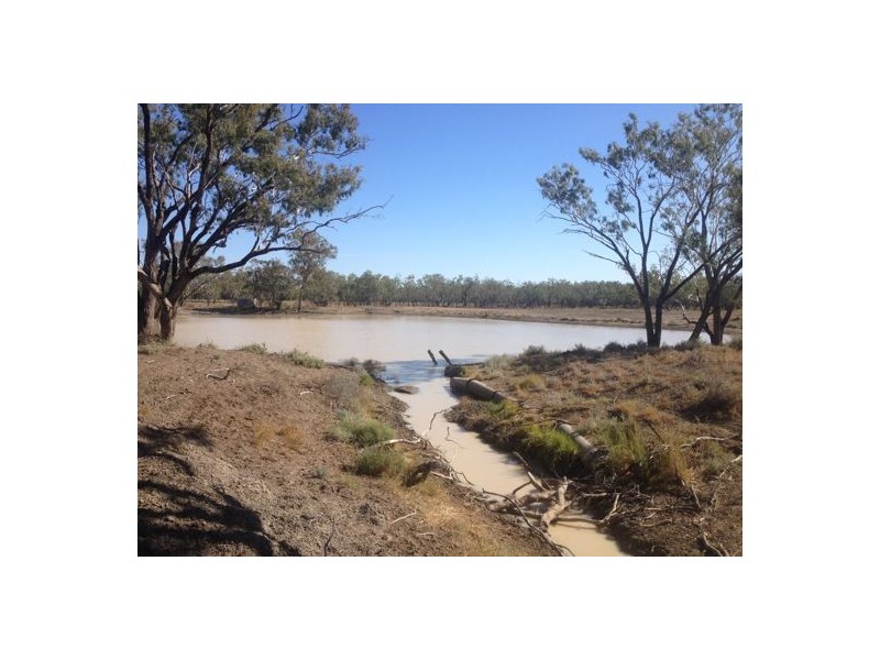 Wellwood East Dunumbral Rd, Walgett NSW 2832