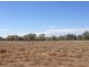 Wellwood East Dunumbral Rd, Walgett NSW 2832