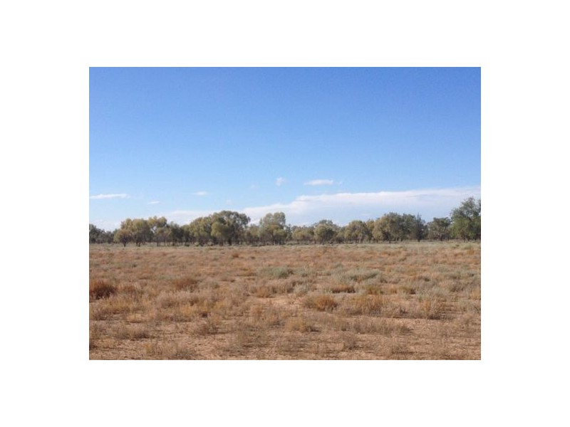 Wellwood East Dunumbral Rd, Walgett NSW 2832