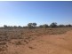 Wellwood East Dunumbral Rd, Walgett NSW 2832
