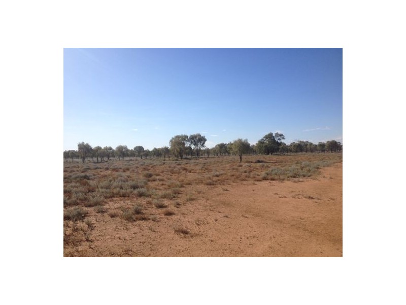 Wellwood East Dunumbral Rd, Walgett NSW 2832