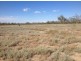 Wellwood East Dunumbral Rd, Walgett NSW 2832