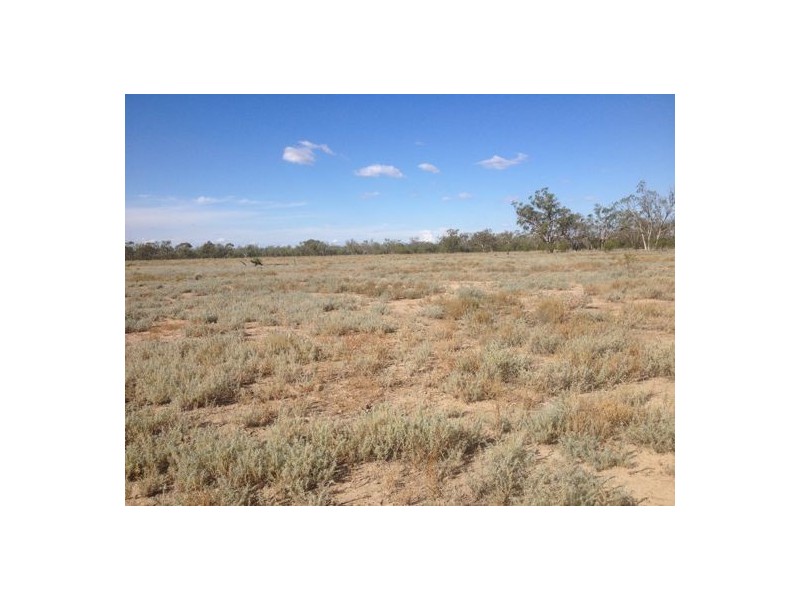 Wellwood East Dunumbral Rd, Walgett NSW 2832