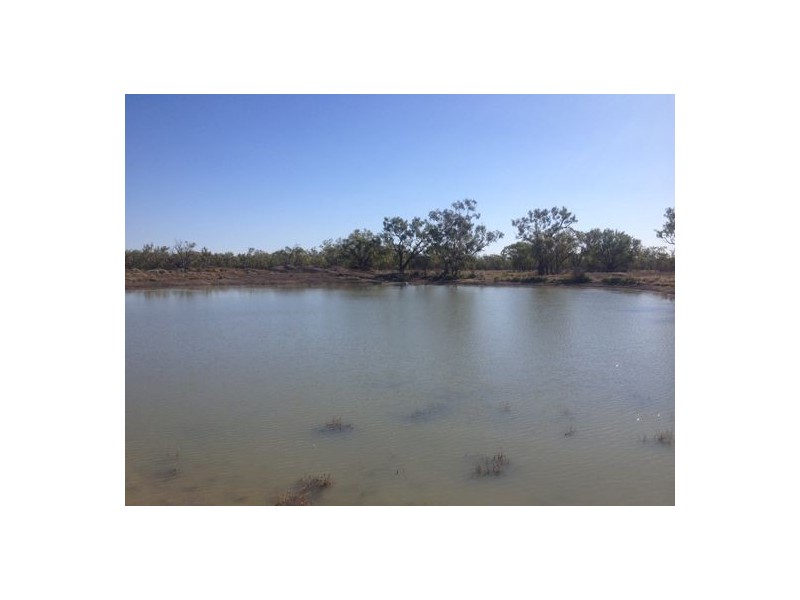 Wellwood East Dunumbral Rd, Walgett NSW 2832