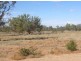 Wellwood East Dunumbral Rd, Walgett NSW 2832