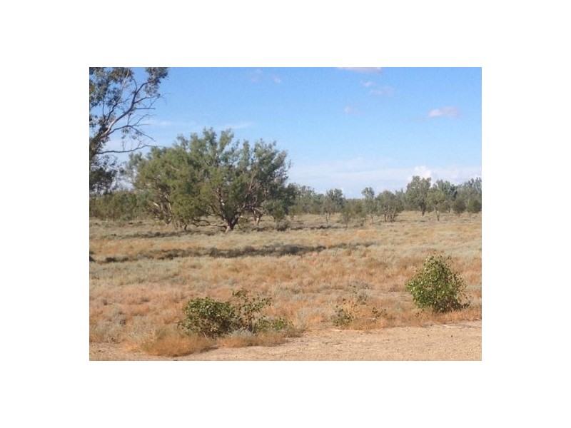 Wellwood East Dunumbral Rd, Walgett NSW 2832