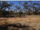 Wellwood East Dunumbral Rd, Walgett NSW 2832