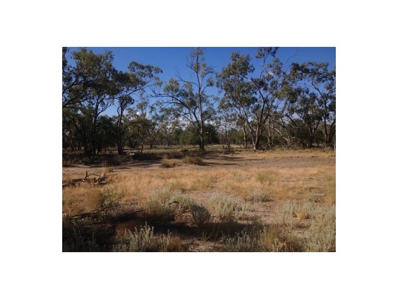 Wellwood East Dunumbral Rd, Walgett NSW 2832