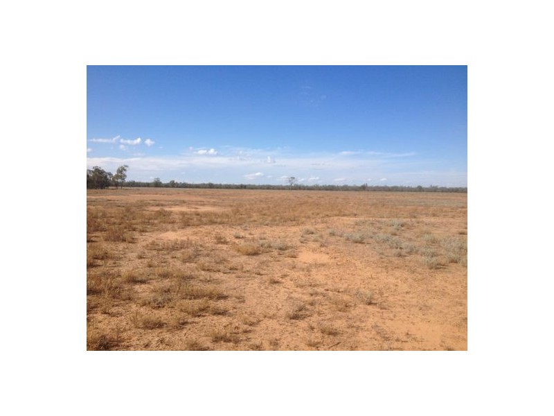 Wellwood East Dunumbral Rd, Walgett NSW 2832