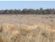 Wellwood East Dunumbral Rd, Walgett NSW 2832