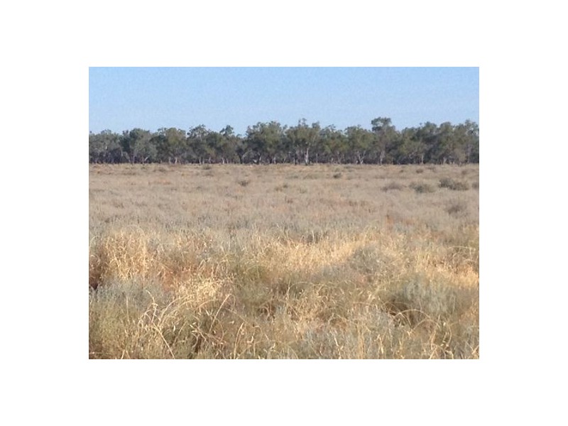Wellwood East Dunumbral Rd, Walgett NSW 2832