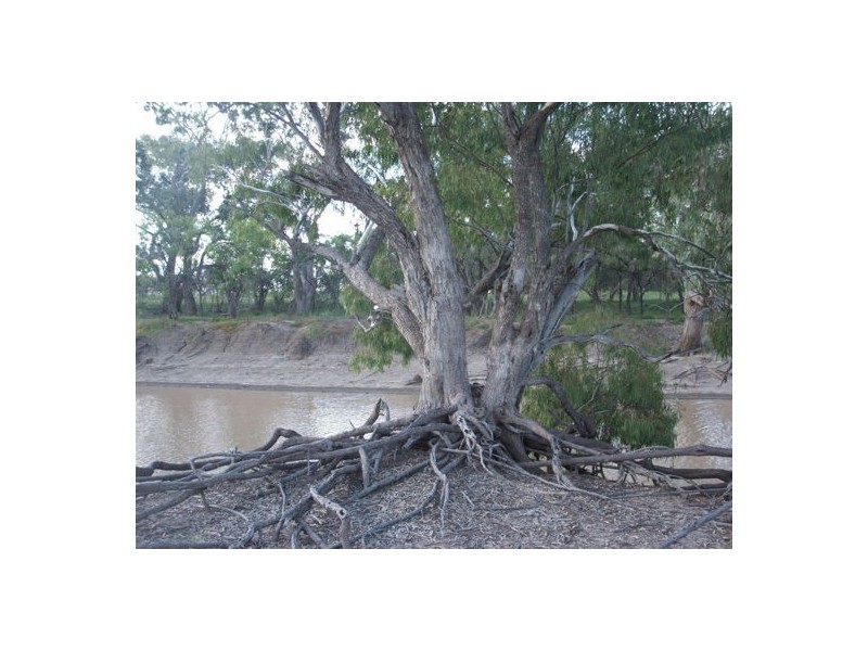 AITKEN, Walgett NSW 2832