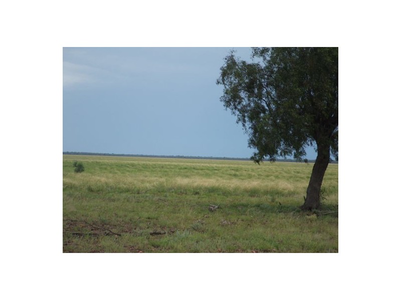 AITKEN, Walgett NSW 2832