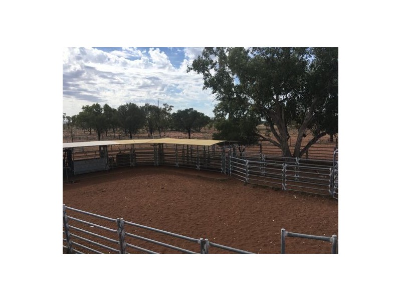 AITKEN, Walgett NSW 2832