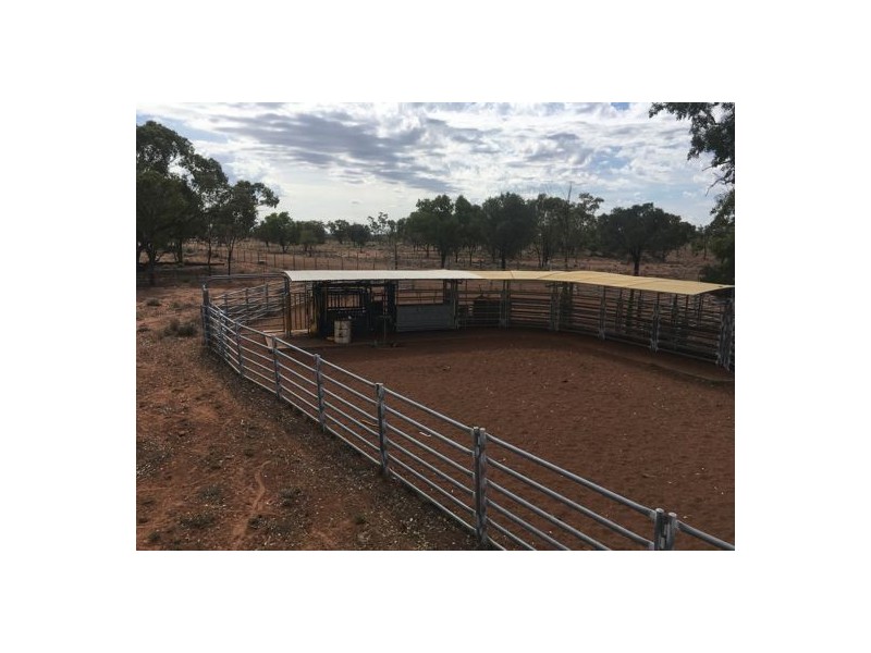 AITKEN, Walgett NSW 2832