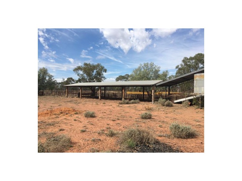 AITKEN, Walgett NSW 2832