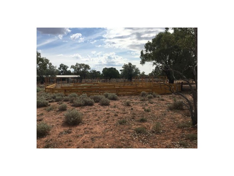 AITKEN, Walgett NSW 2832