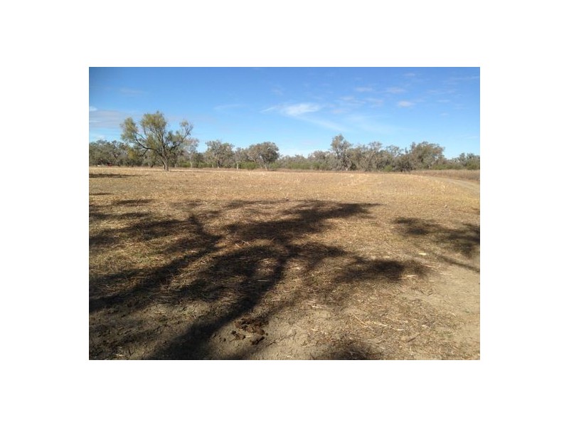 “Dangar”, Walgett NSW 2832