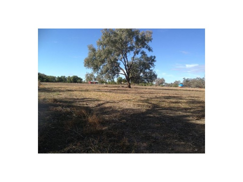 “Dangar”, Walgett NSW 2832