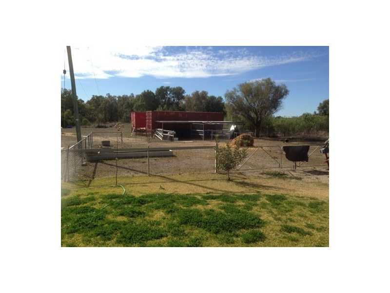 “Dangar”, Walgett NSW 2832