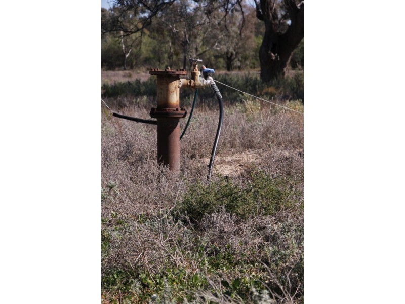 The Barwon Inn, Walgett NSW 2832