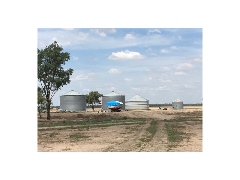 “Glenrow”, Walgett NSW 2832