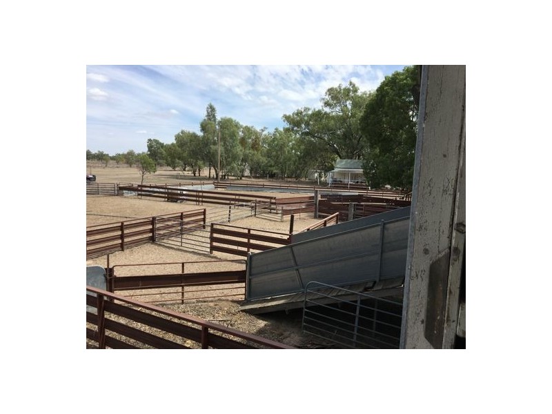 “Glenrow”, Walgett NSW 2832