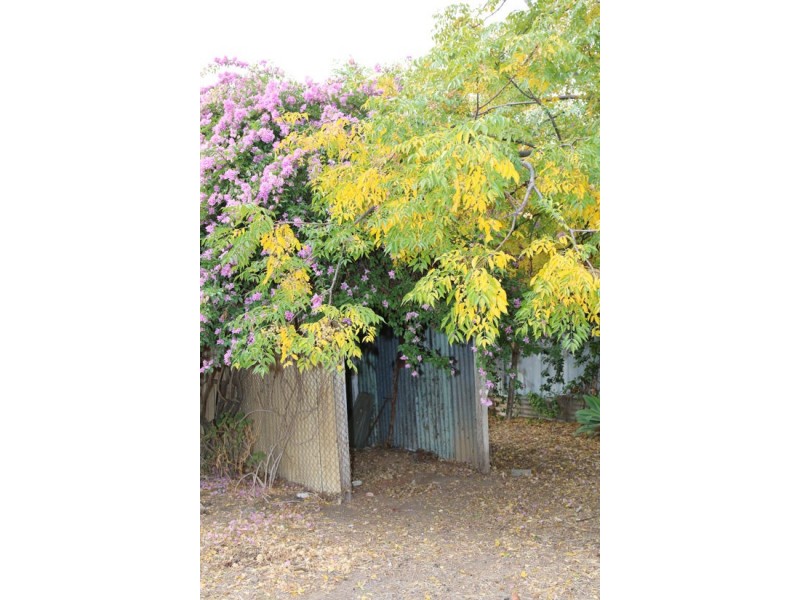 45 Dewhurst St, Walgett NSW 2832