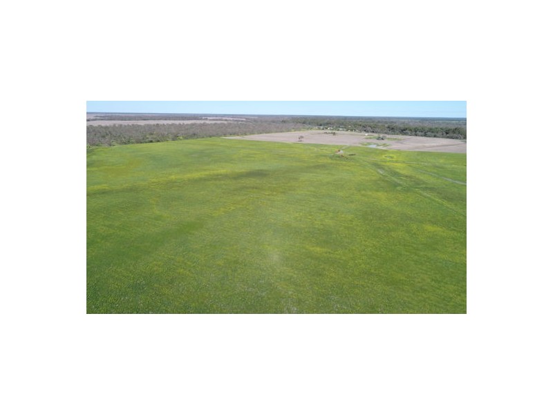 Runningbrook A, Walgett NSW 2832