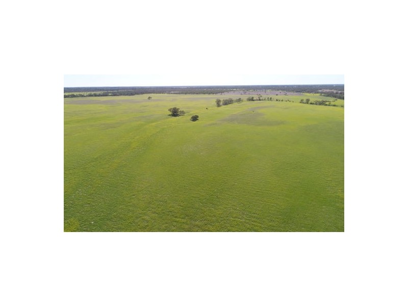 Runningbrook A, Walgett NSW 2832