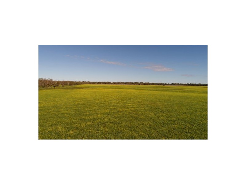 Runningbrook A, Walgett NSW 2832