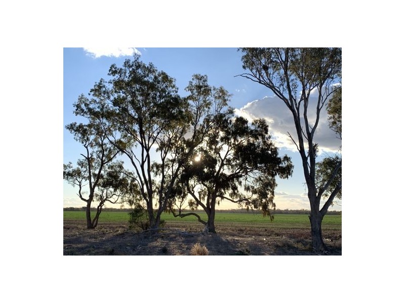 Glendale, Walgett NSW 2832