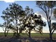 Glendale, Walgett NSW 2832