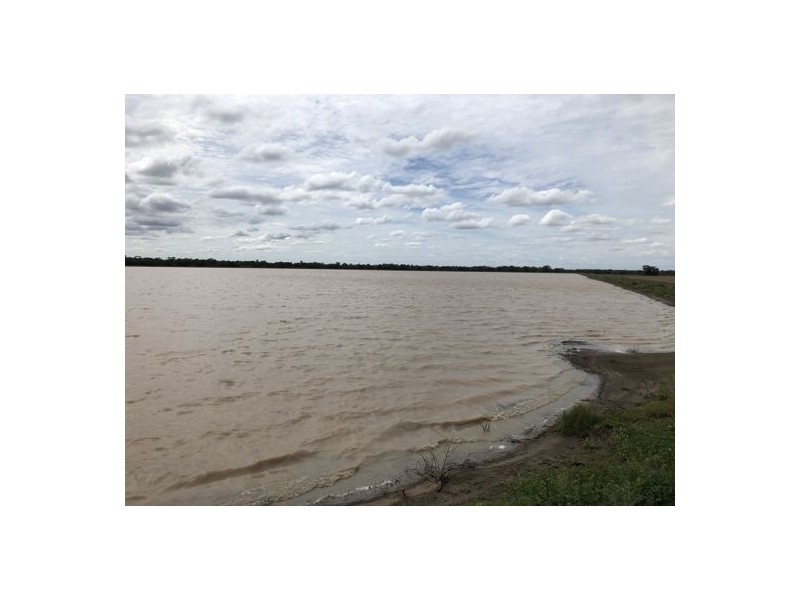 Wimbleton, Walgett NSW 2832