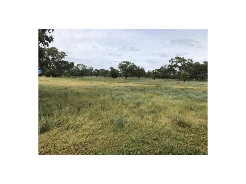 Wimbleton, Walgett NSW 2832
