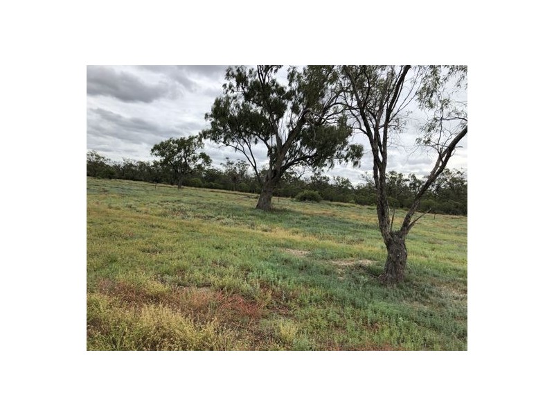 Wimbleton, Walgett NSW 2832