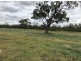 Wimbleton, Walgett NSW 2832