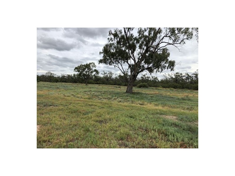 Wimbleton, Walgett NSW 2832