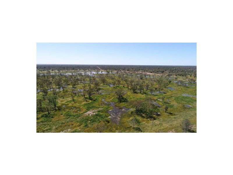 MOORDALE, Walgett NSW 2832