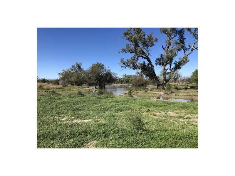 MOORDALE, Walgett NSW 2832