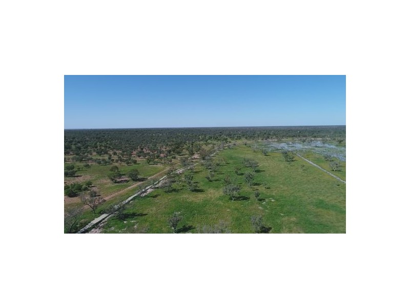 MOORDALE, Walgett NSW 2832