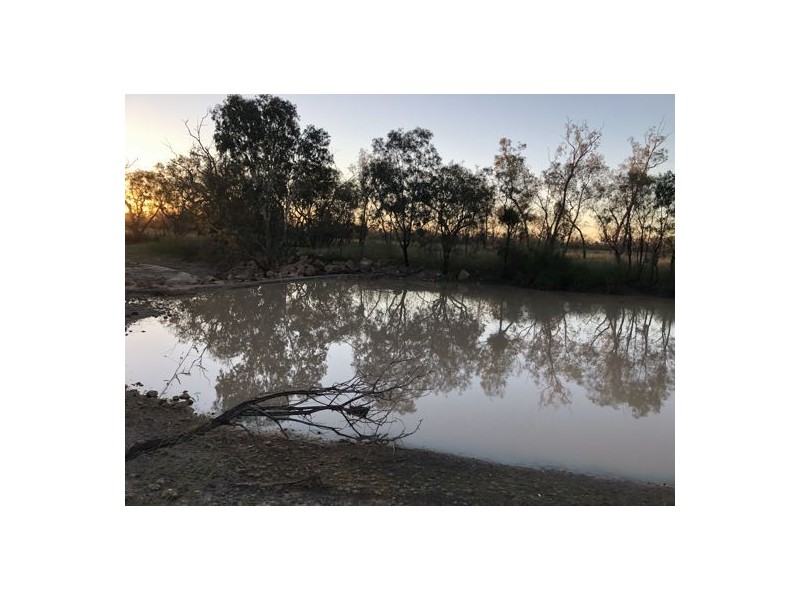 MOORDALE, Walgett NSW 2832