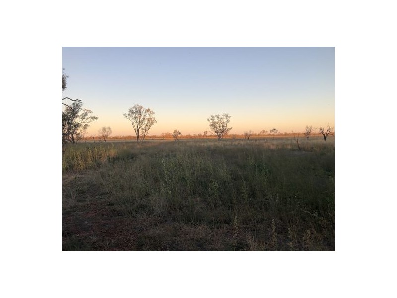 MOORDALE, Walgett NSW 2832